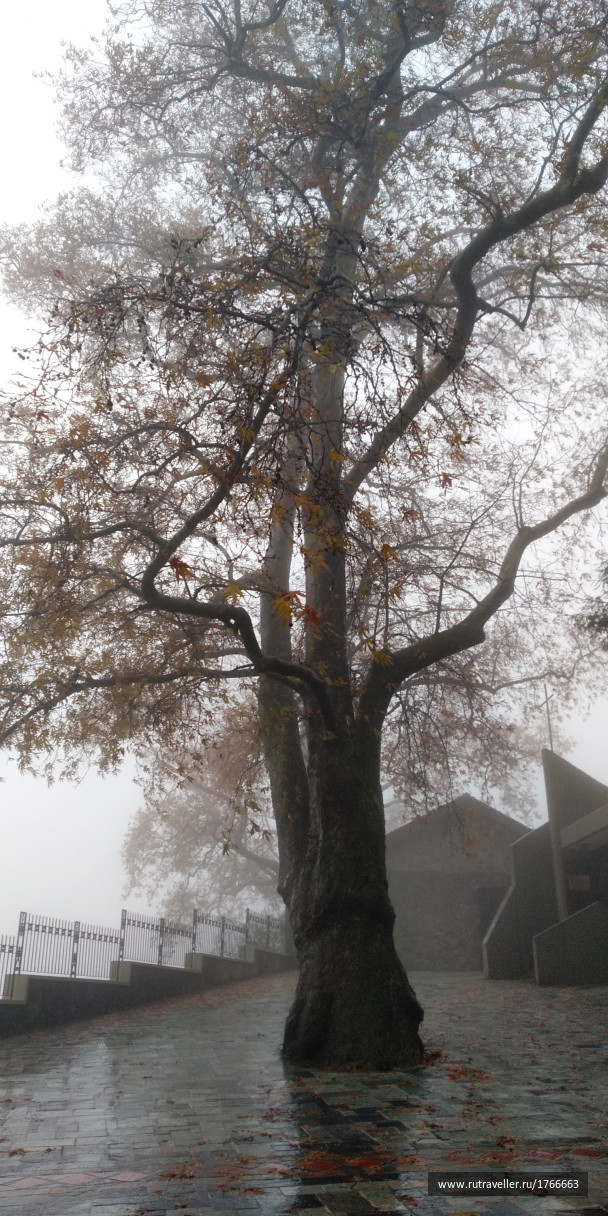 photo 1733425