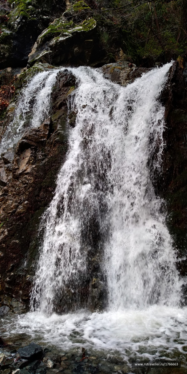photo 1733434
