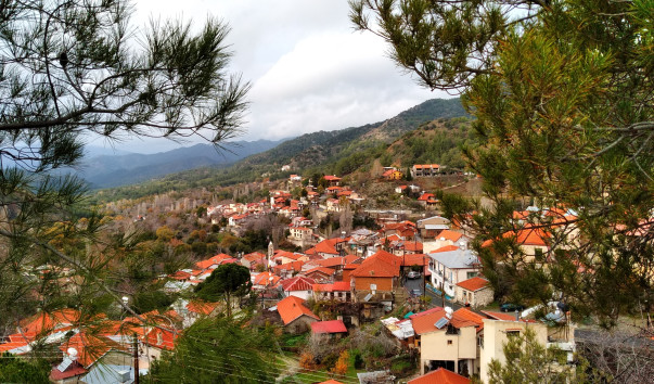 Foini_view_gor