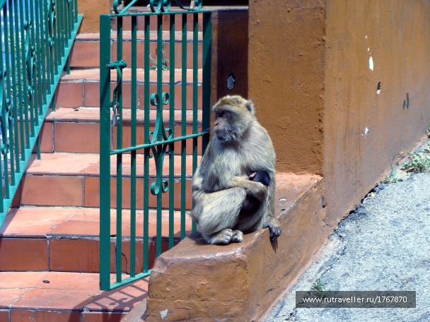 photo 1734089