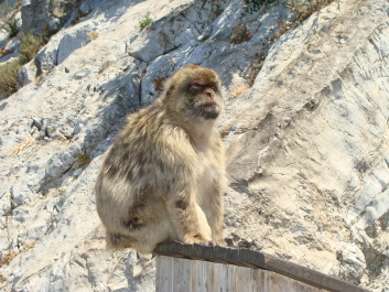 photo 1743577