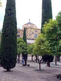photo 1738718