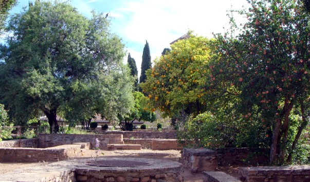 DSC04294