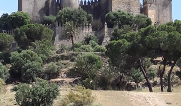 IMG-20190202-WA0005