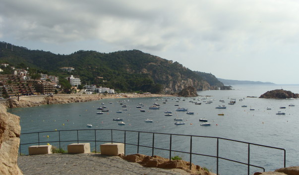 DSC03902