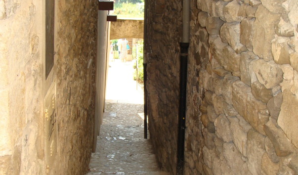 DSC03826