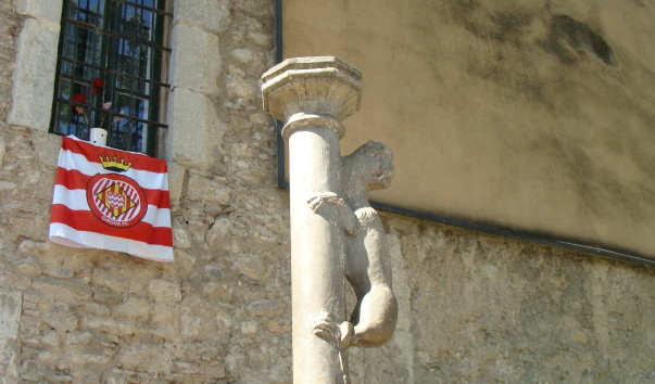 DSC03705