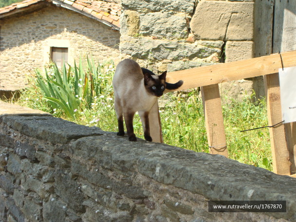 photo 1725009