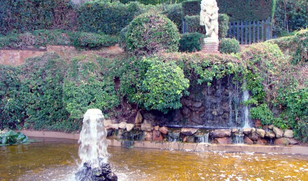 DSC03964-1