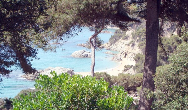 DSC03954-1