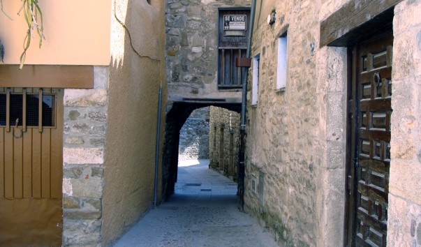 DSC03839