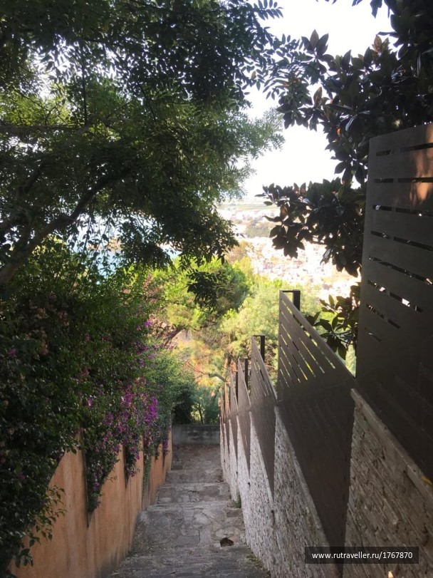 photo 1797021