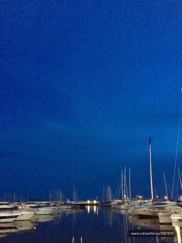 photo 1803911