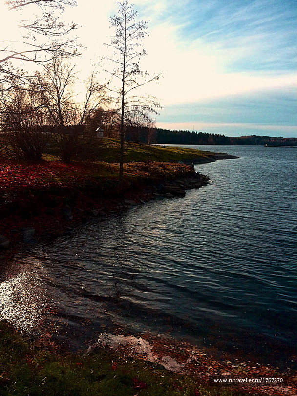 photo 1774536