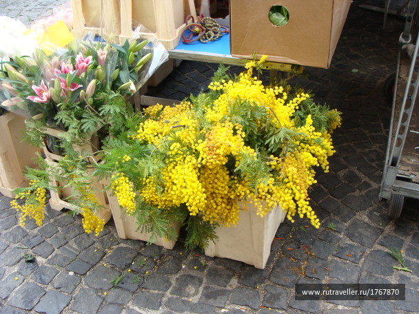 photo 1747214