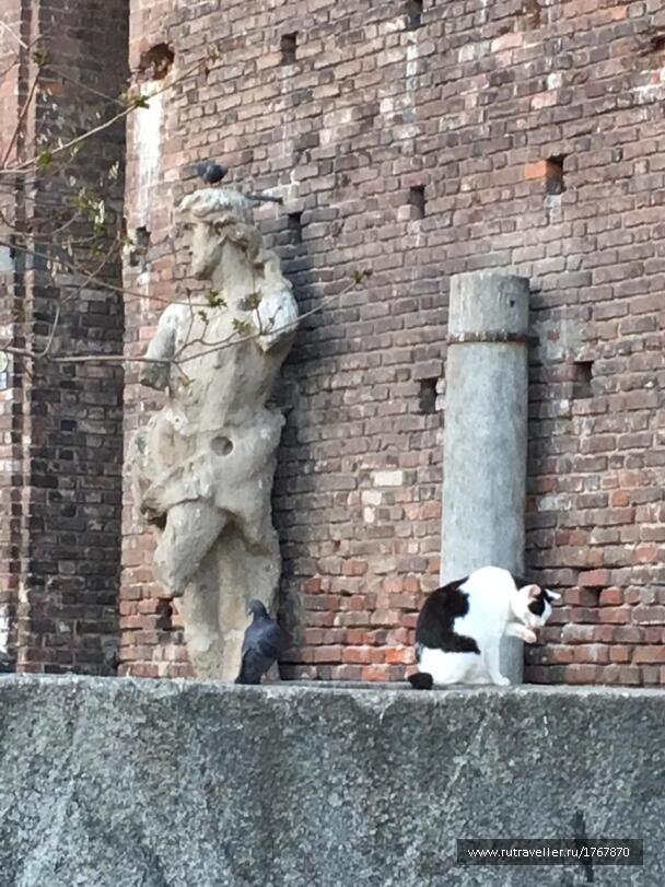 photo 1765368