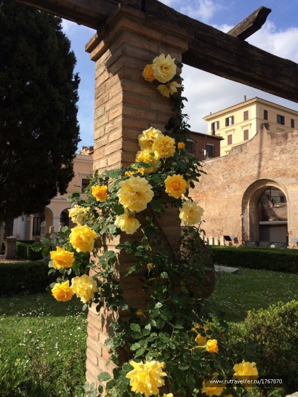 photo 1773757