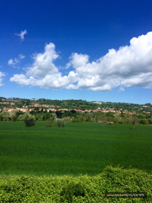 photo 1774078