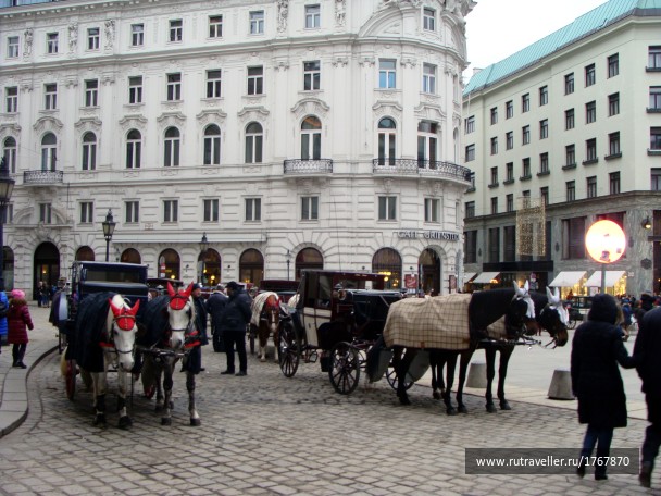 photo 1740411