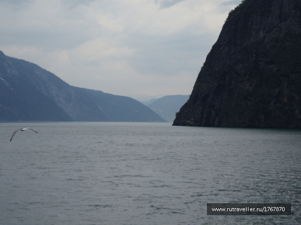 photo 1719573