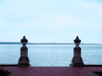 photo 1762653