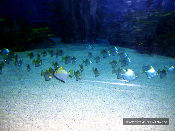 photo 1737183