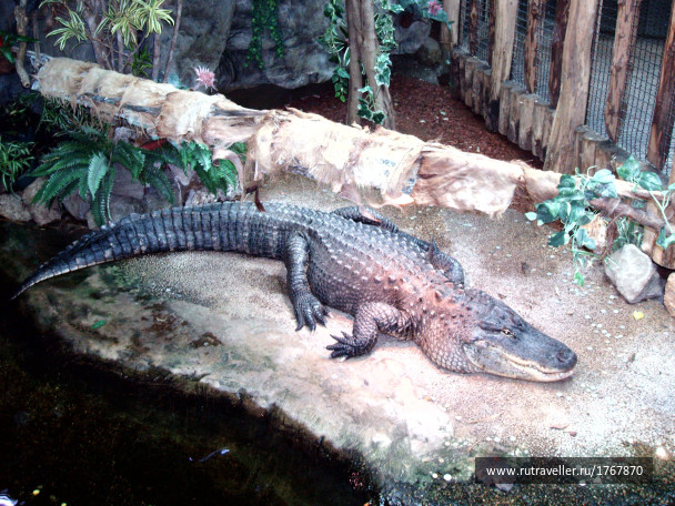 photo 1737184