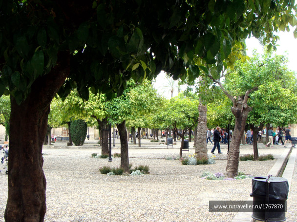 photo 1742095