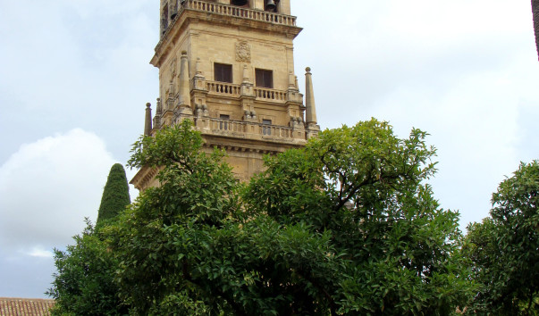 DSC04347