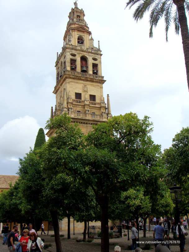 photo 1742103