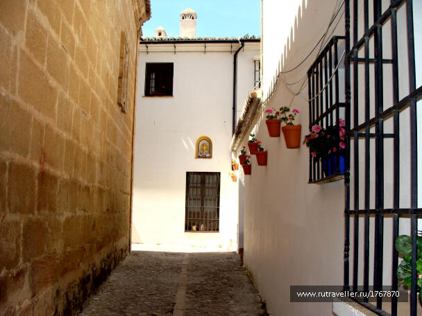 photo 1742284
