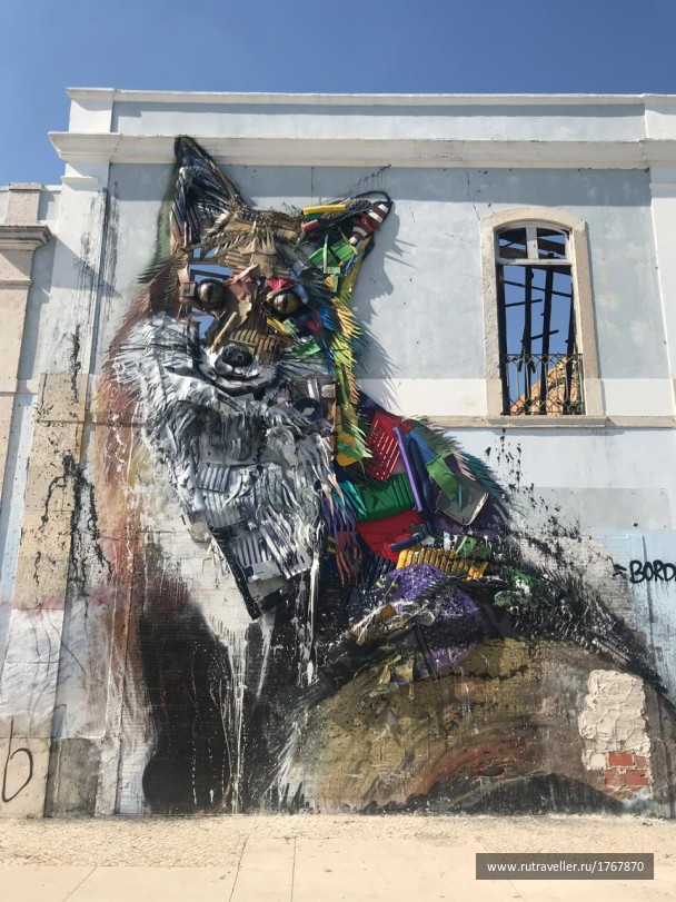 photo 1765977