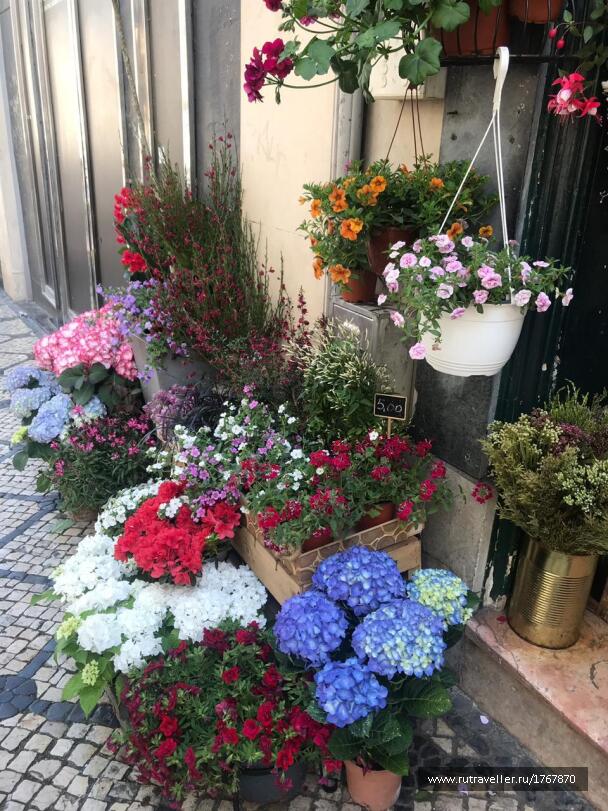 photo 1767166