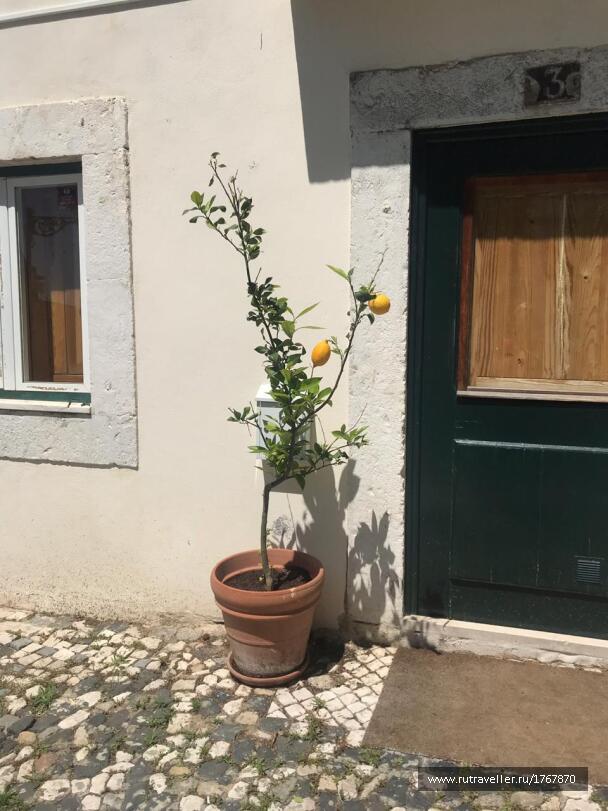 photo 1767554