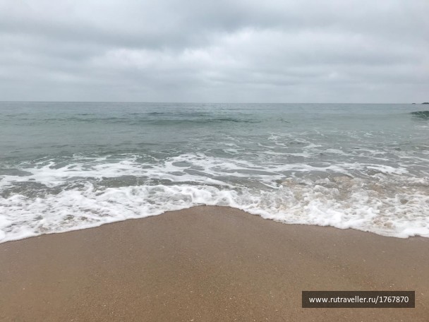 photo 1768579