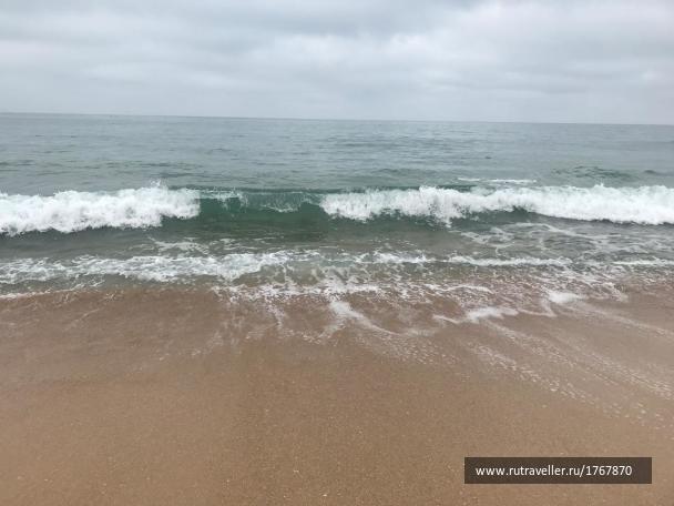 photo 1768580