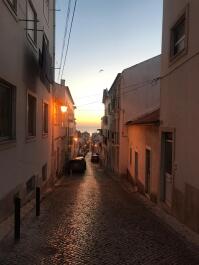 photo 1768584