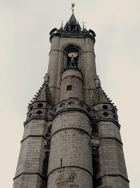 photo 1771985