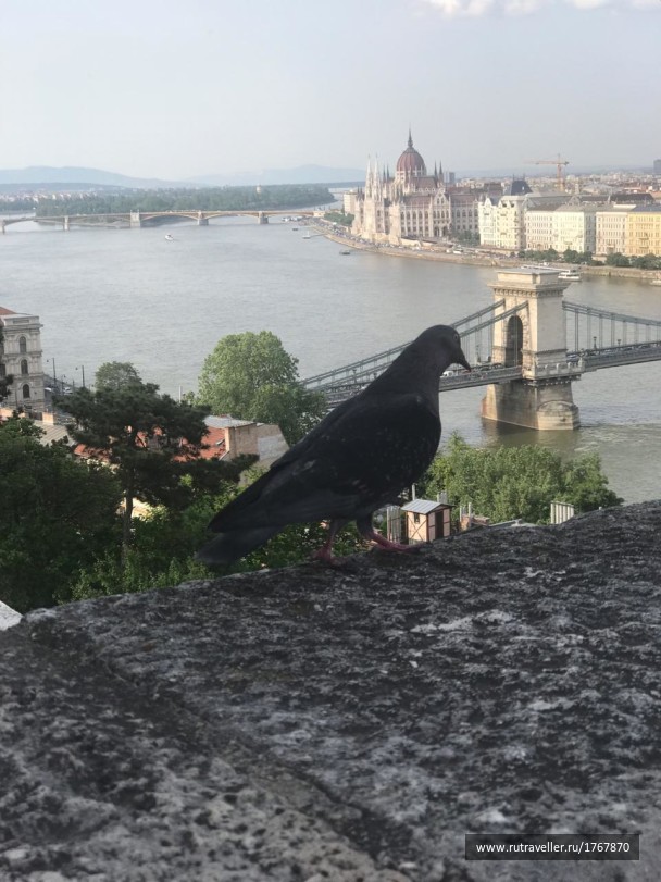 photo 1769696