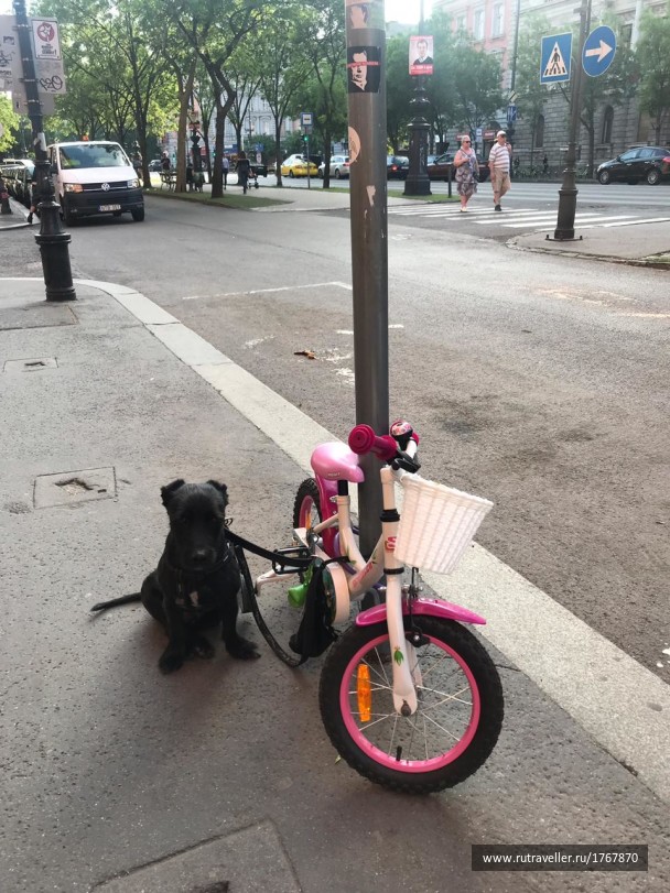 photo 1770123