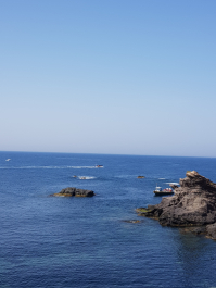 photo 1782954