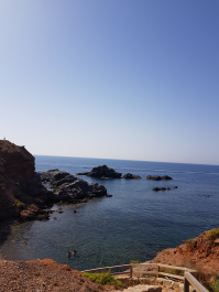 photo 1782955