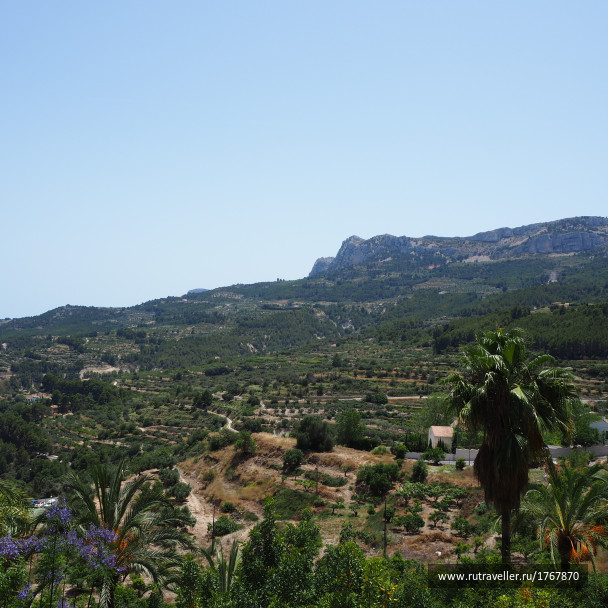 photo 1783464