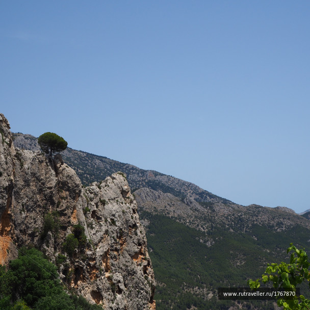 photo 1783465