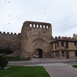 photo 1779920