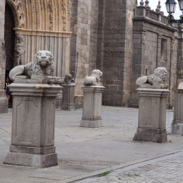photo 1780348