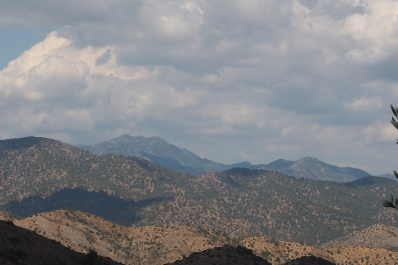 photo 2013209