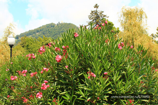 photo 1732576