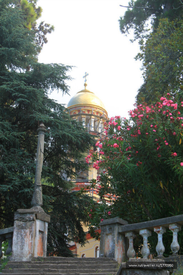 photo 1733766