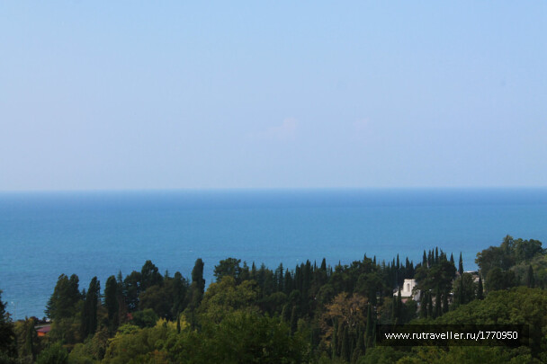 photo 1733773
